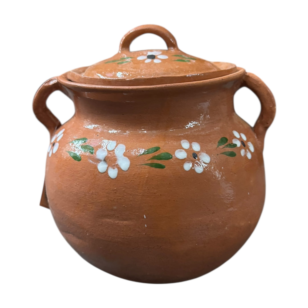 Clay Pot Olla 1/2kg Con Tapa