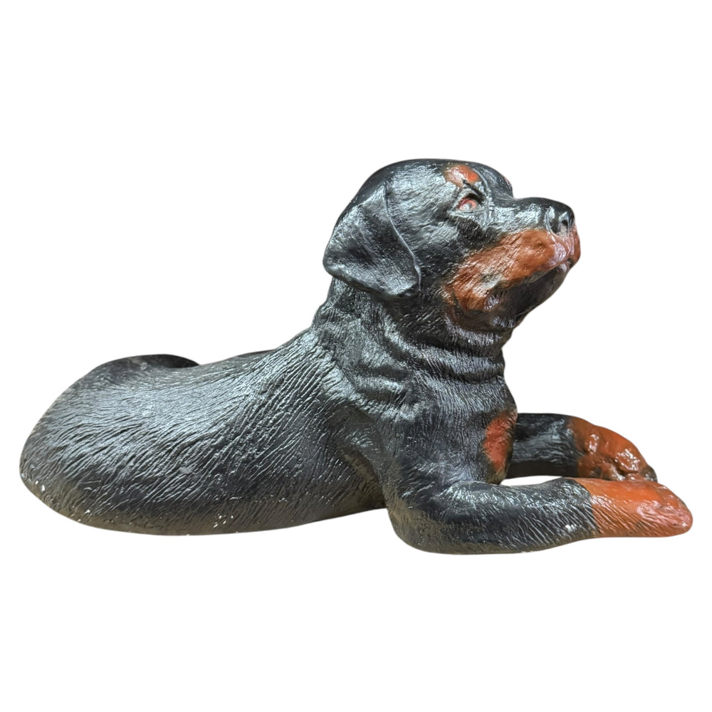 Rottweiler Dog Piggy Bank