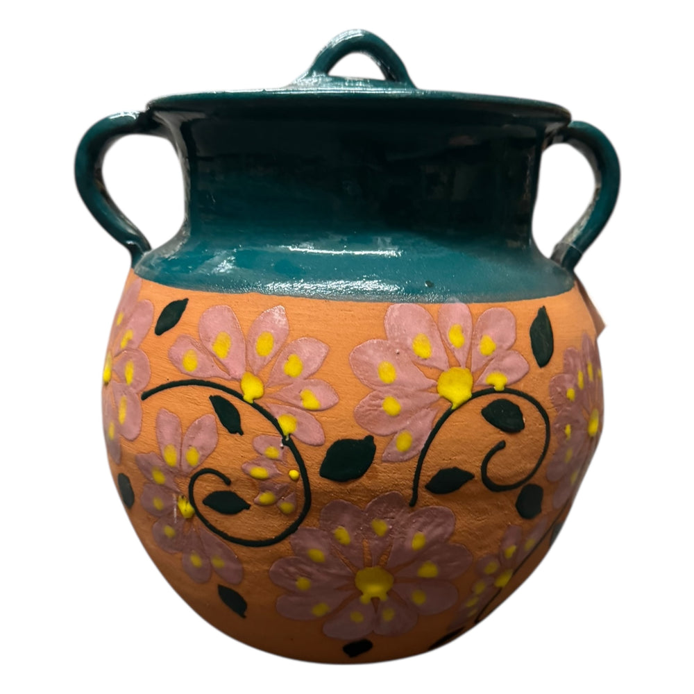 Clay Pot Olla 8 litros