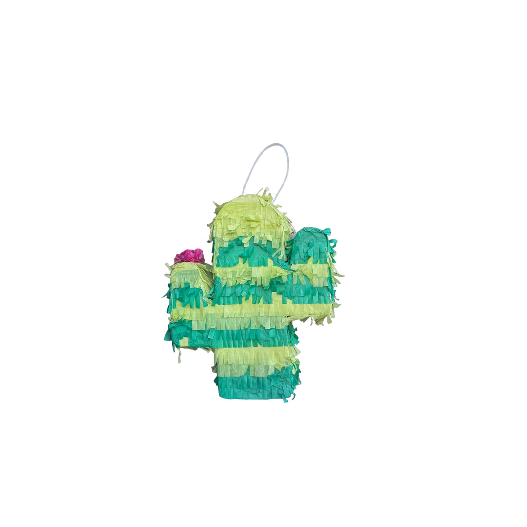 Mini Cactus Piñata