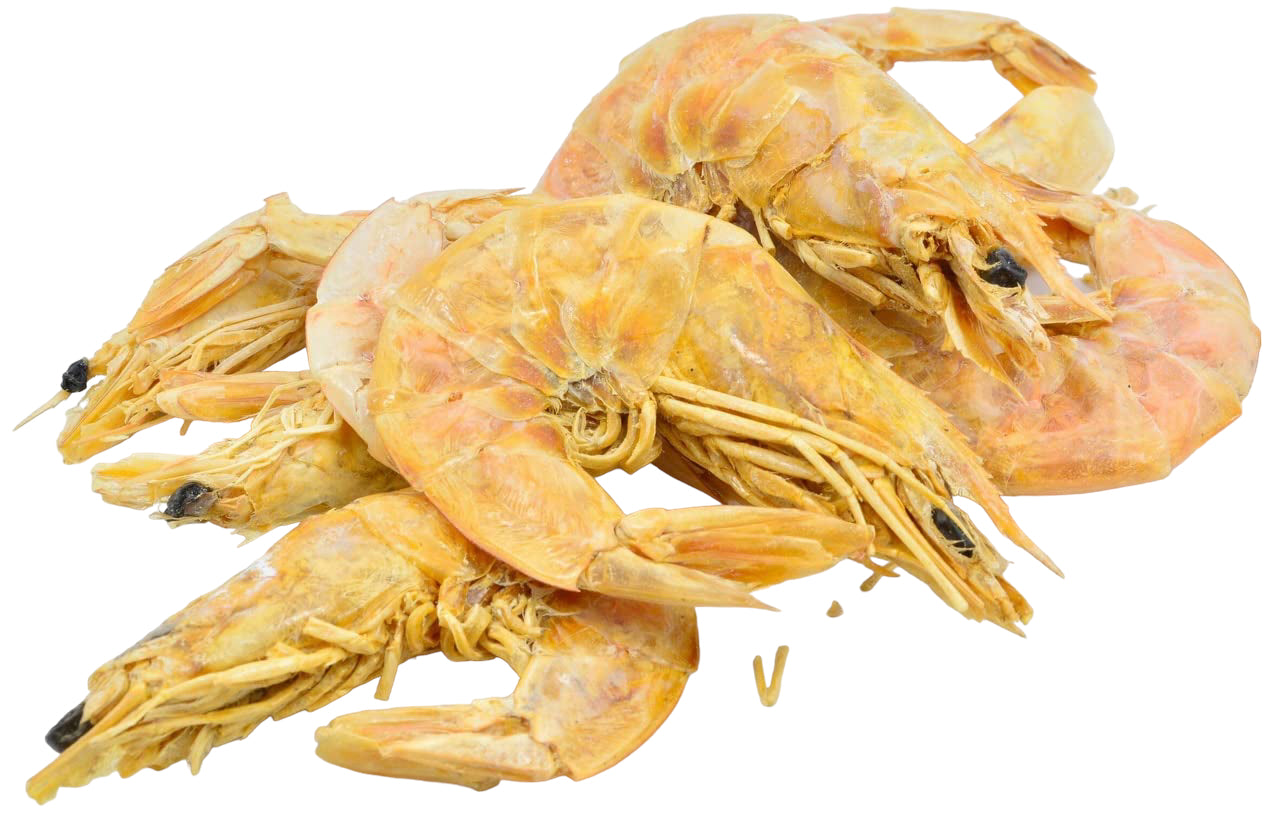 Dry shrimp – SAAV International LLC