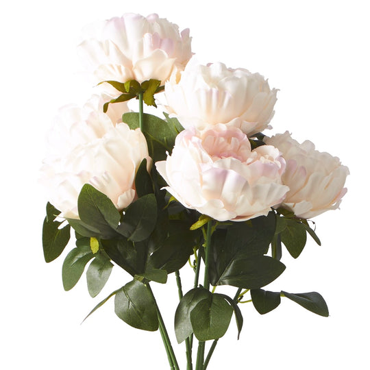Artificial Cabbage Rose 20” 25-0251IV